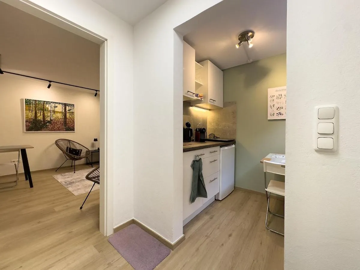 Modernes 1 Zimmer Apartment In Schwabing Naehe Allianz Arena Und Englischer Garten Munich
